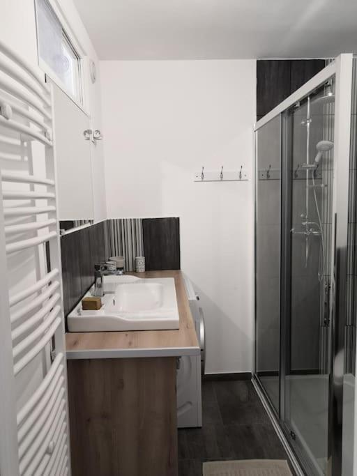 Les Arcades, T2 En Hypercentre Apartment ลาโรแชล ภายนอก รูปภาพ