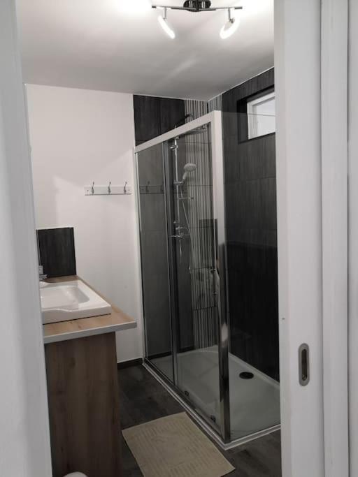 Les Arcades, T2 En Hypercentre Apartment ลาโรแชล ภายนอก รูปภาพ